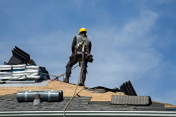 Professional Roof Replacement technician working in Newport, NC
